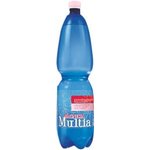 Magnesia- mango/zazvor 1,5l