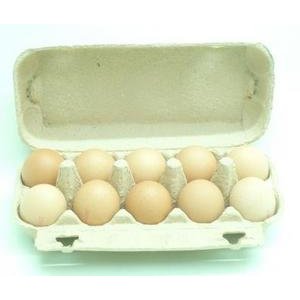 Vajcia L 10ks/SHP