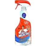Mr Muscle Kúpeľňa 500 ml - čistiací a dezinfekční sprej